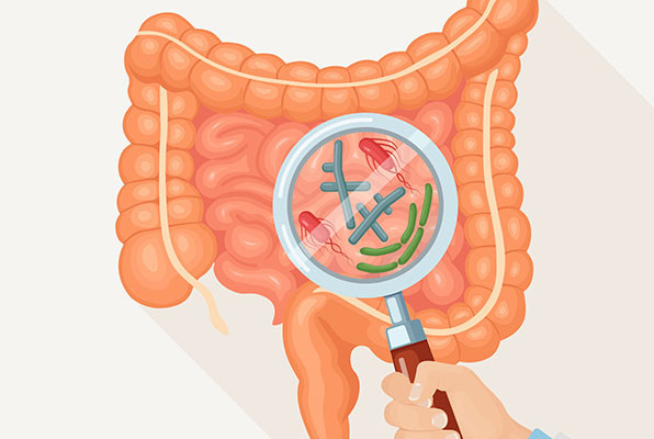 illustration of the digestive tract with bacteria, virus, and microorganisms with a hand at the lower right holding a magnifying glass